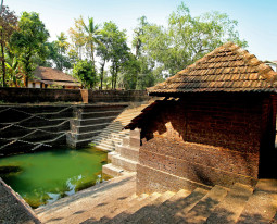 Azakiyakav Devi Temple Palluruthi Kochi